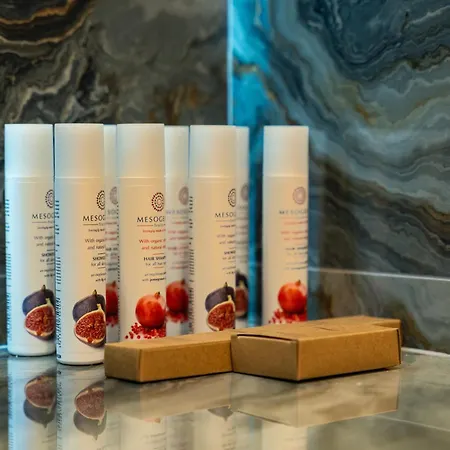 Hotel Philia Center 4*