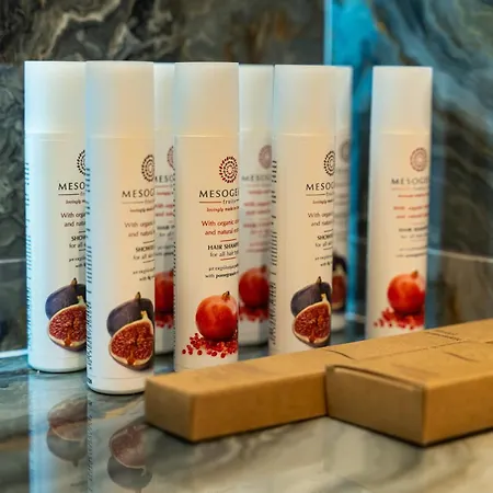 Ξενοδοχείο Philia Center 4*